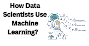 How Data Scientists Use Machine Learning?   