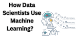 How Data Scientists Use Machine Learning?   